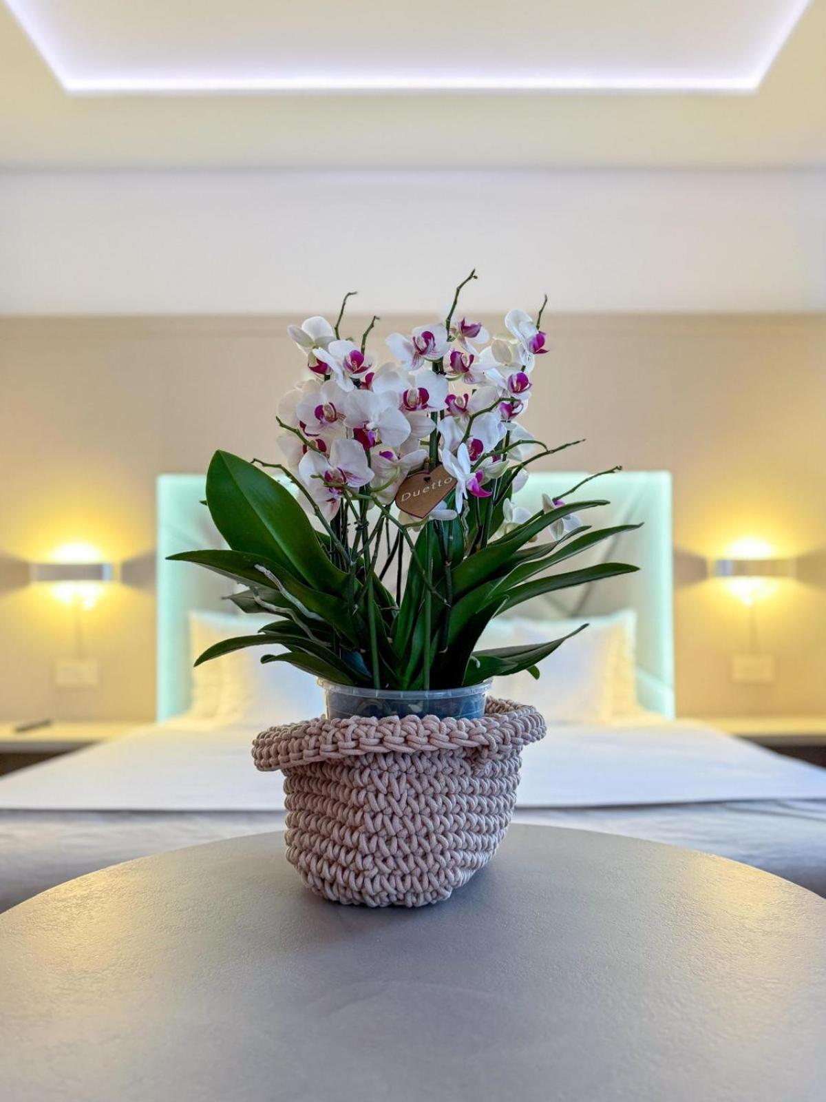 Hotel Eden Garden Spa 坎普朗莫道尼斯 外观 照片